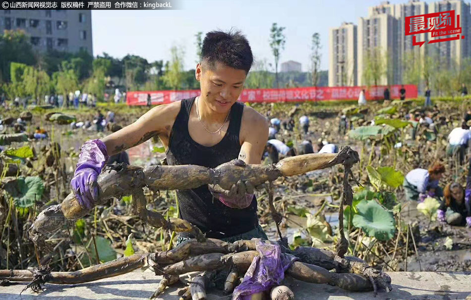 大学生种植5亩莲藕