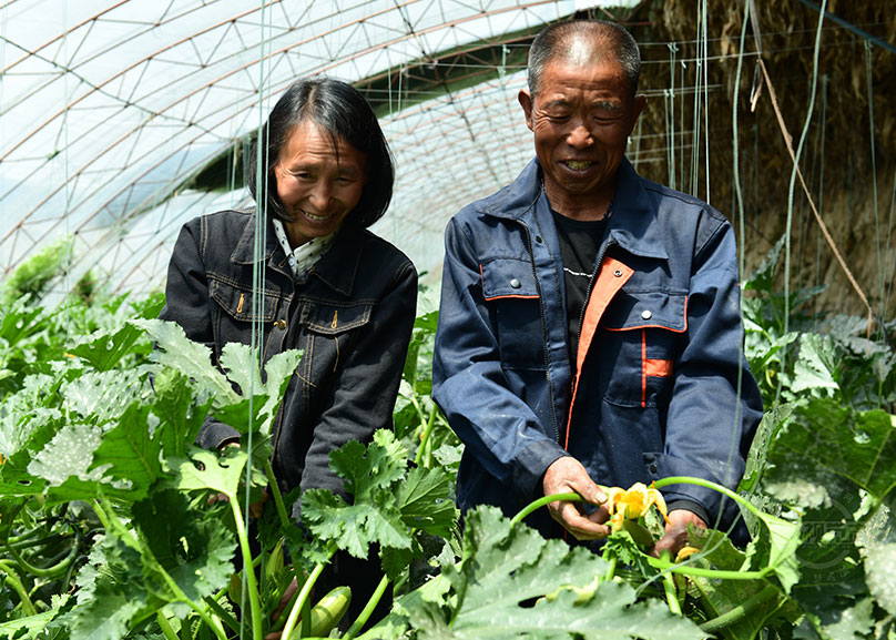 五台：贫困户捐自种蔬菜 