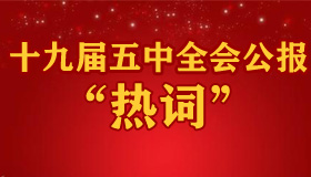 【图解】十九届五中全会公报 这个词出现频率最高