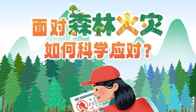 【图解】面对森林火灾 如何科学应对？