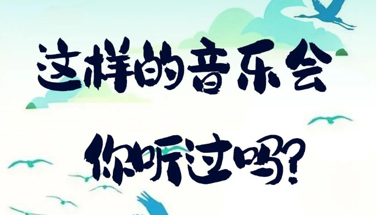 这样的音乐会你听过吗？
